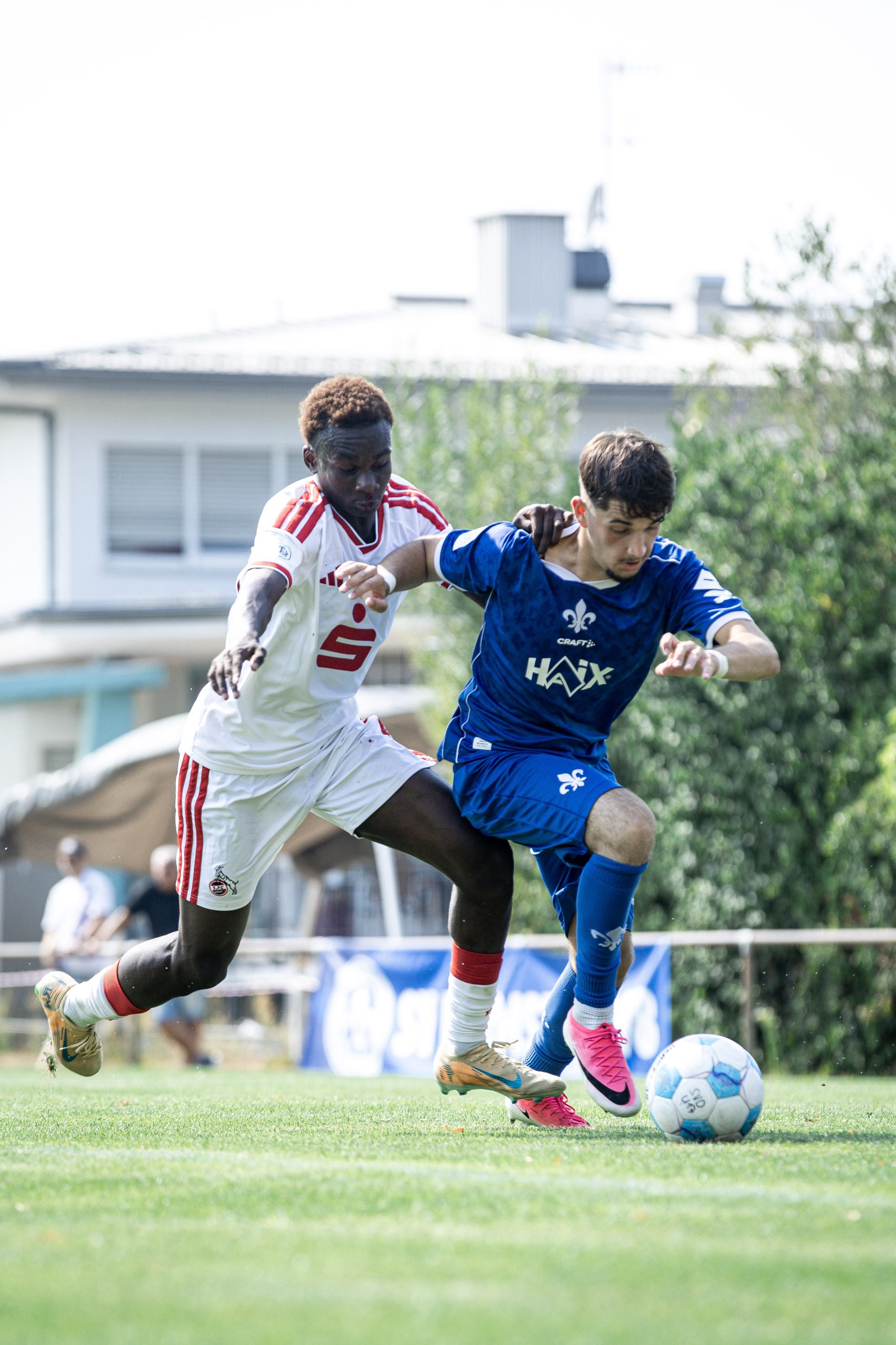 SV Darmstadt 98 – 1.FC Köln U17